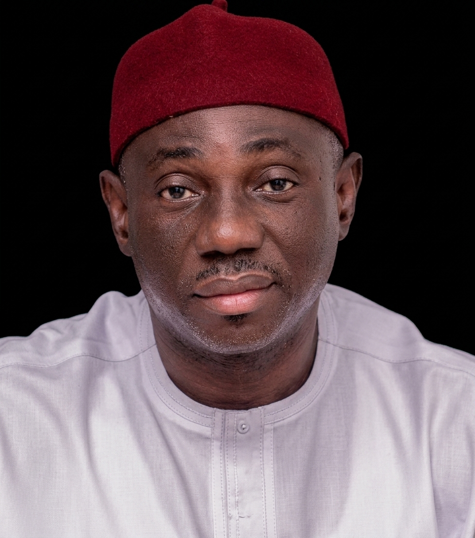Vice President